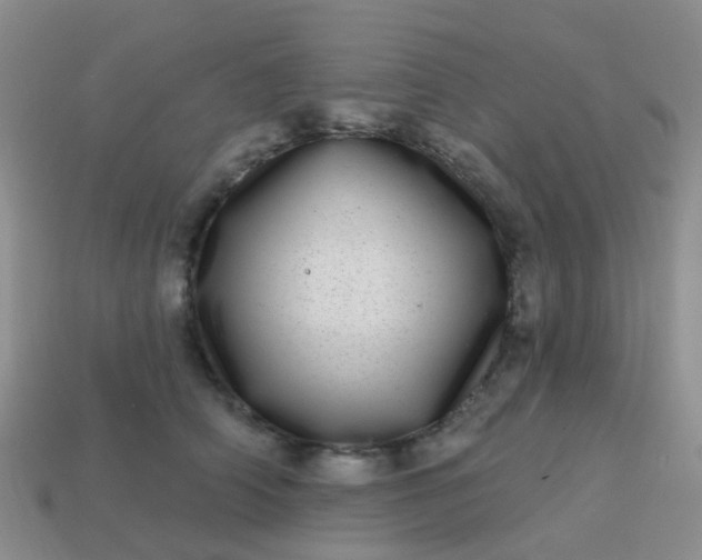 X0000113860706200910081706