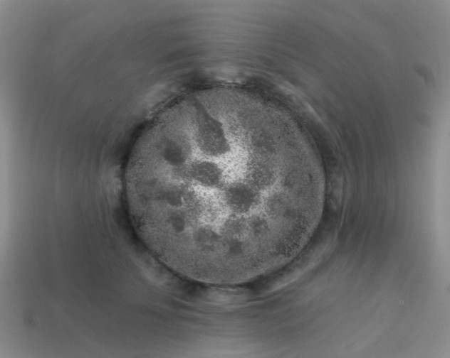 X0000113860707200910081706