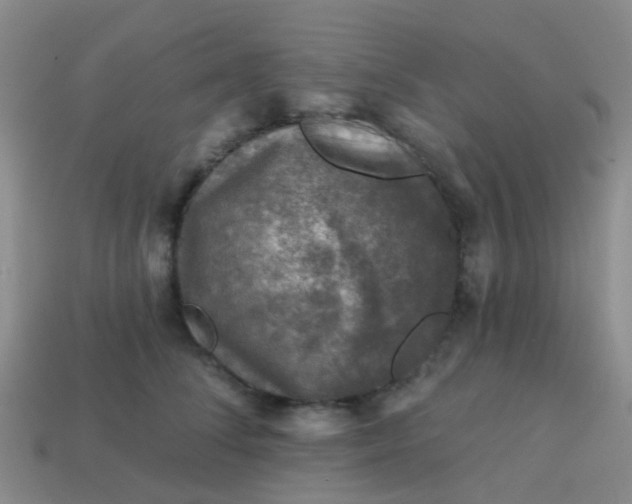 X0000113860708200910081706