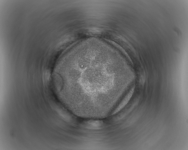 X0000113860711200910081706