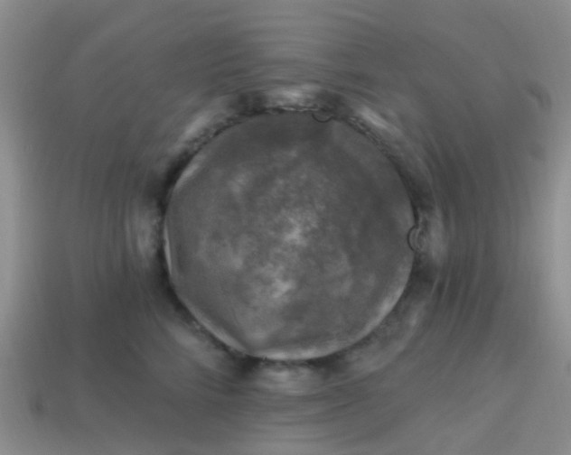X0000113860712200910081706