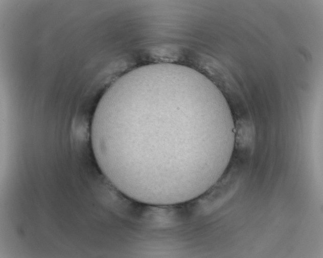 X0000113860713200910081706