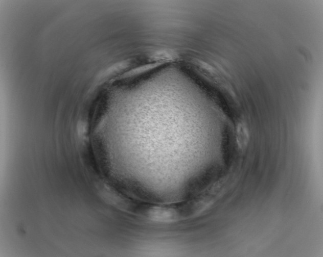 X0000113860714200910081706