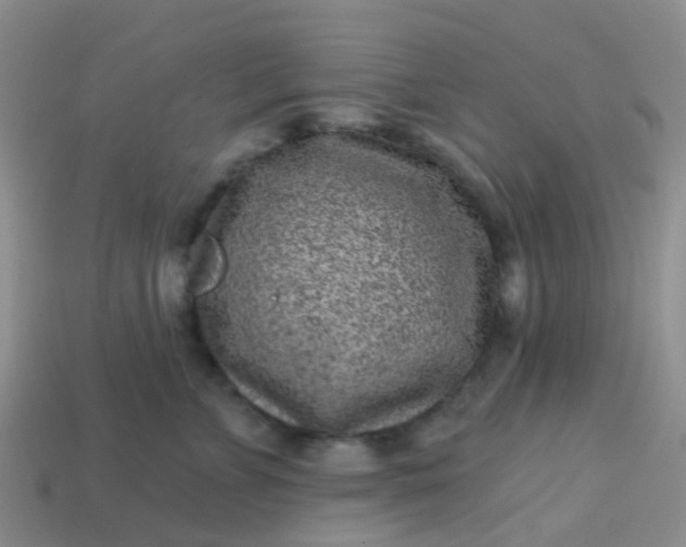 X0000113860715200910081706