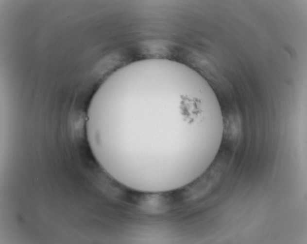 X0000113860717200910081706