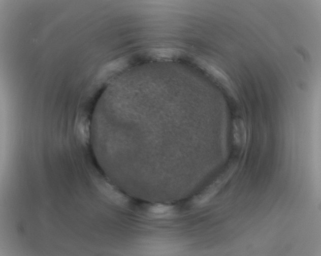 X0000113860718200910081706