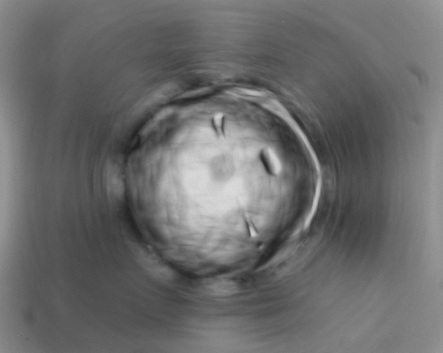 X0000113860719200910081706