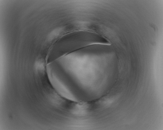 X0000113860720200910081706