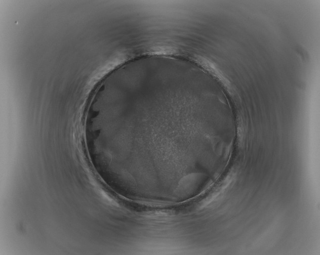 X0000113860721200910081705