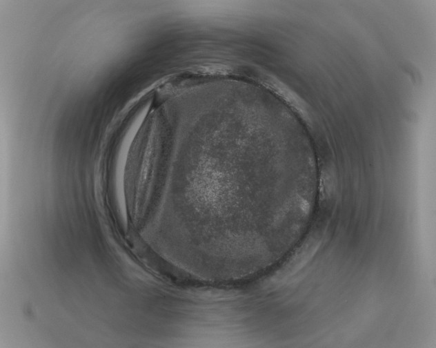 X0000113860722200910081705