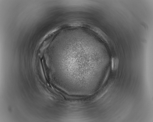 X0000113860723200910081705