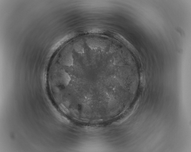 X0000113860725200910081705