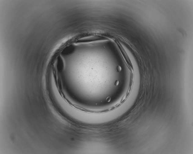X0000113860726200910081705