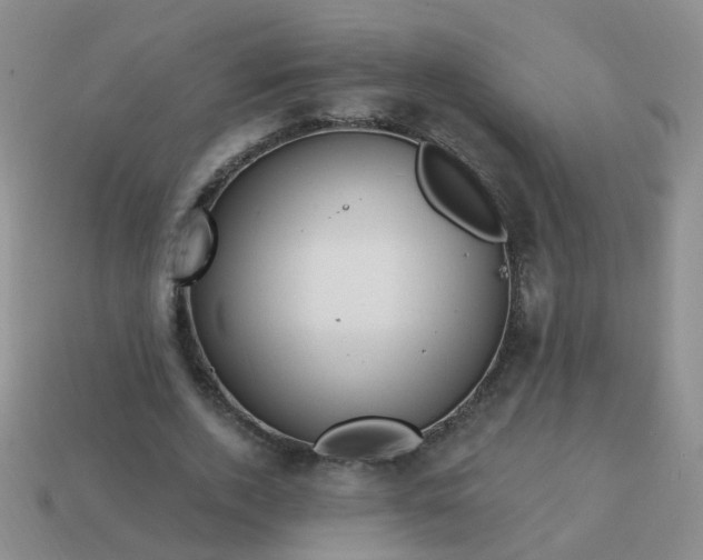X0000113860728200910081705