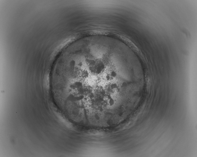 X0000113860729200910081705