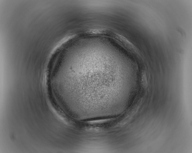 X0000113860730200910081705