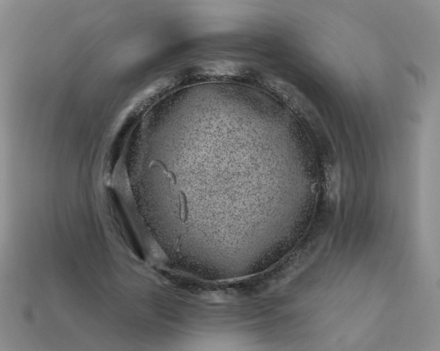 X0000113860731200910081705