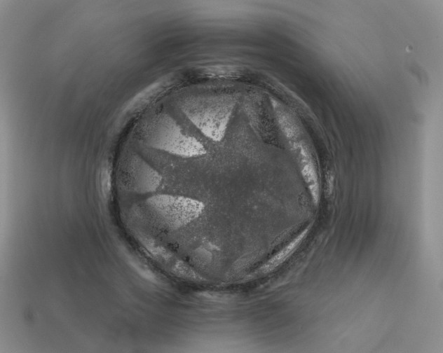 X0000113860733200910081705