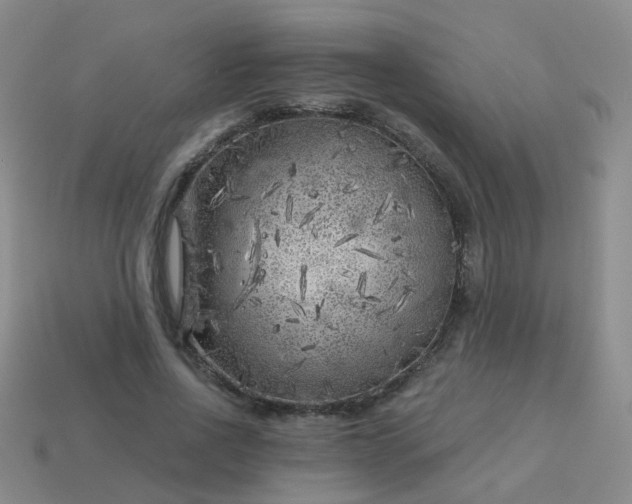 X0000113860734200910081705