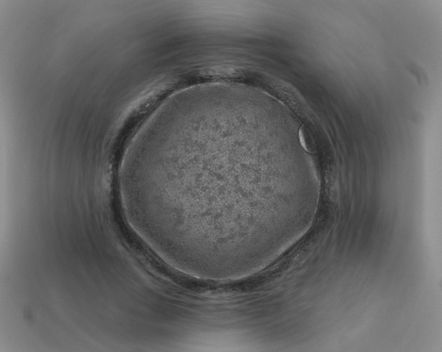 X0000113860735200910081705