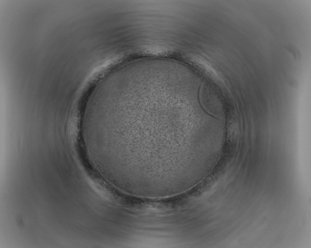 X0000113860736200910081705