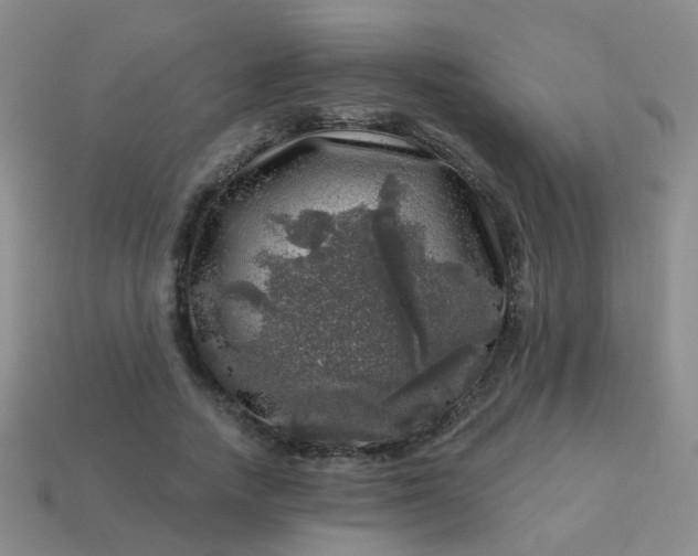 X0000113860738200910081705