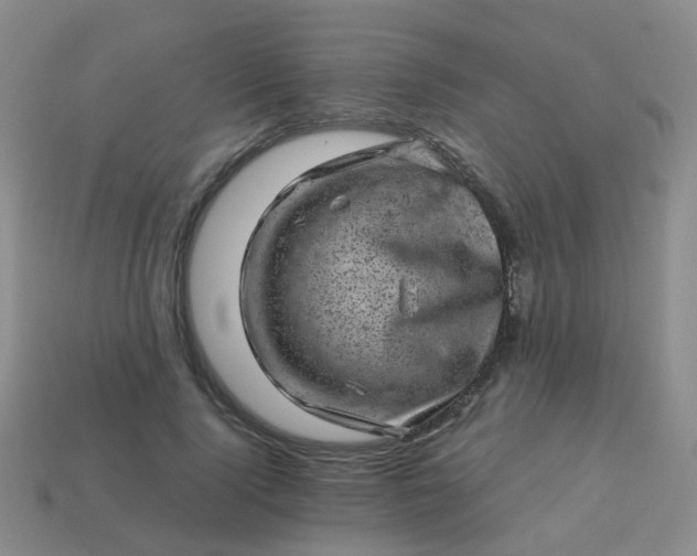 X0000113860740200910081705