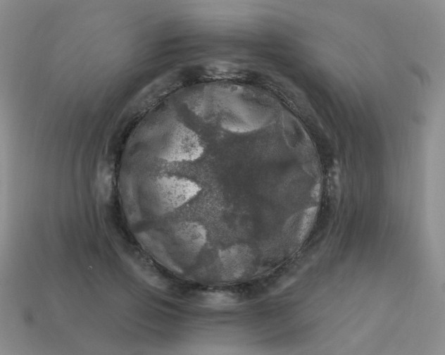 X0000113860741200910081705