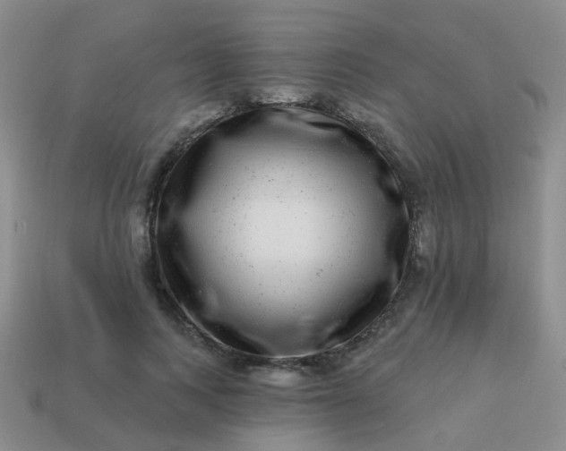 X0000113860743200910081705