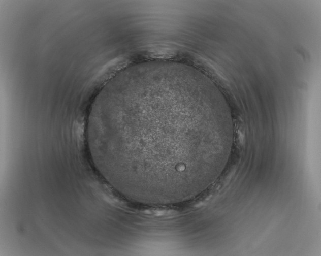 X0000113860745200910081705