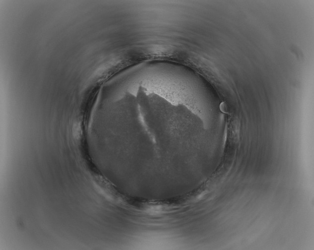 X0000113860746200910081705