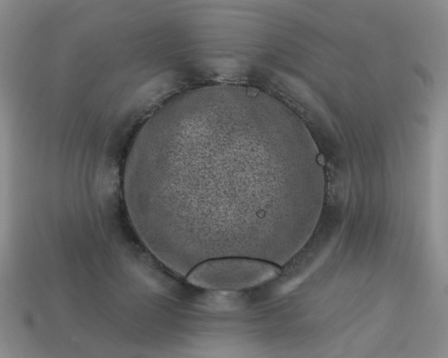 X0000113860748200910081705