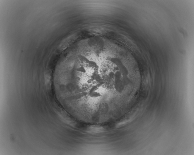 X0000113860749200910081705