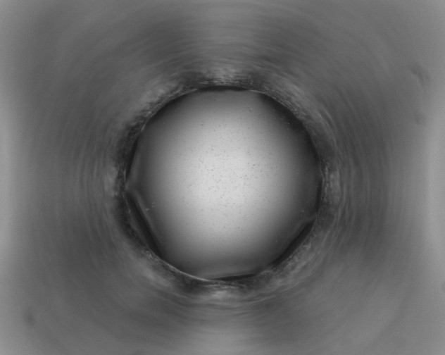 X0000113860750200910081705
