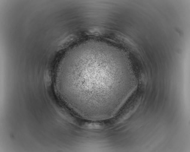 X0000113860751200910081705