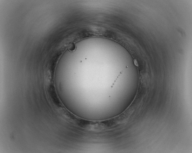 X0000113860752200910081705