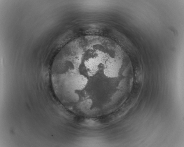 X0000113860753200910081706