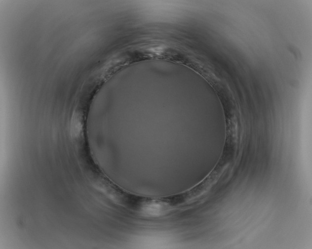 X0000113860754200910081706