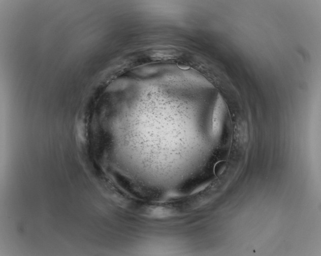X0000113860755200910081706