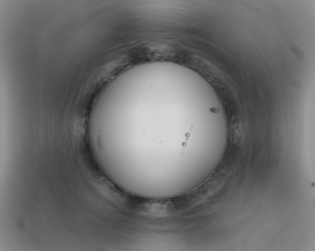 X0000113860756200910081706