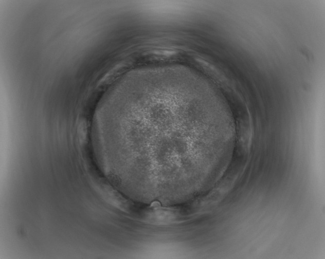 X0000113860758200910081706