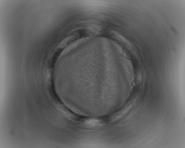 X0000113860759200910081706