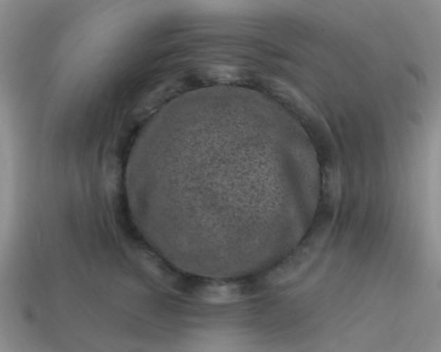 X0000113860760200910081706