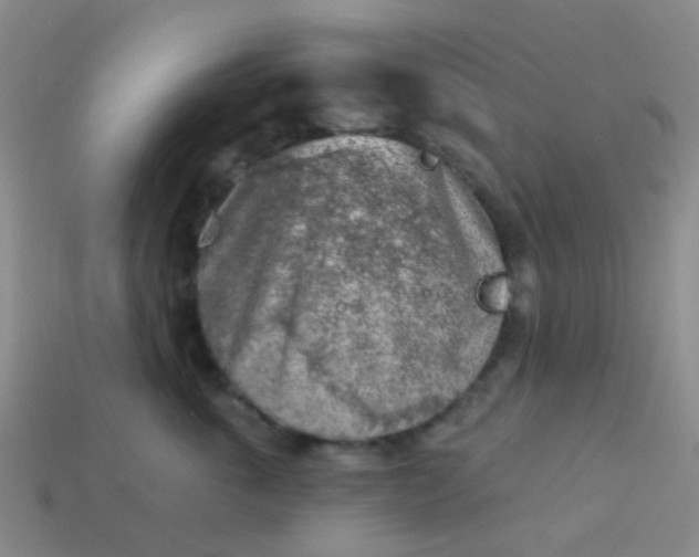 X0000113860763200910081706