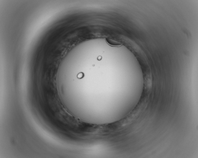 X0000113860764200910081706