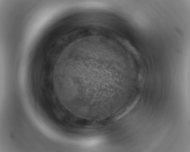 X0000113860765200910081706