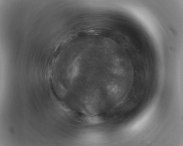 X0000113860767200910081706