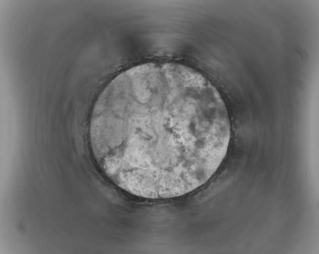 X0000113860769200910081705