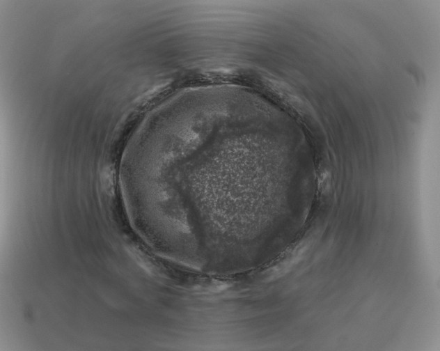 X0000113860772200910081705