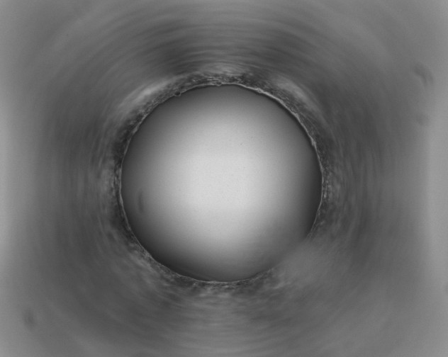 X0000113860773200910081705